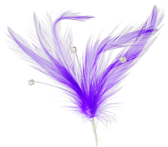 flutterzz purple (2)