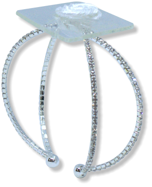 crown jewels silver cj1903