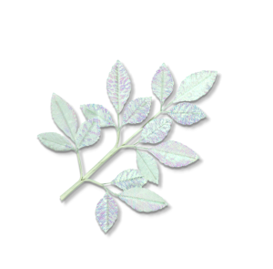 ma3866ir rose leaves iridescent